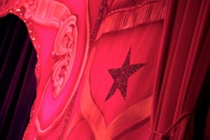 Up close image of the drapery we supplied for the Circus of the orient