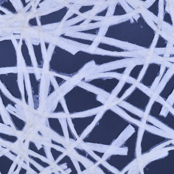 Super - morass 600by600